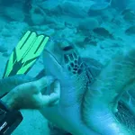 Luxury * Costa Adeje