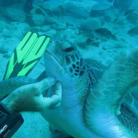 Luxury * Costa Adeje (Tenerife)