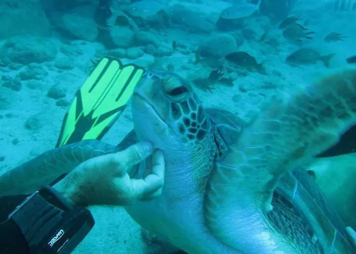 Luxury * Costa Adeje